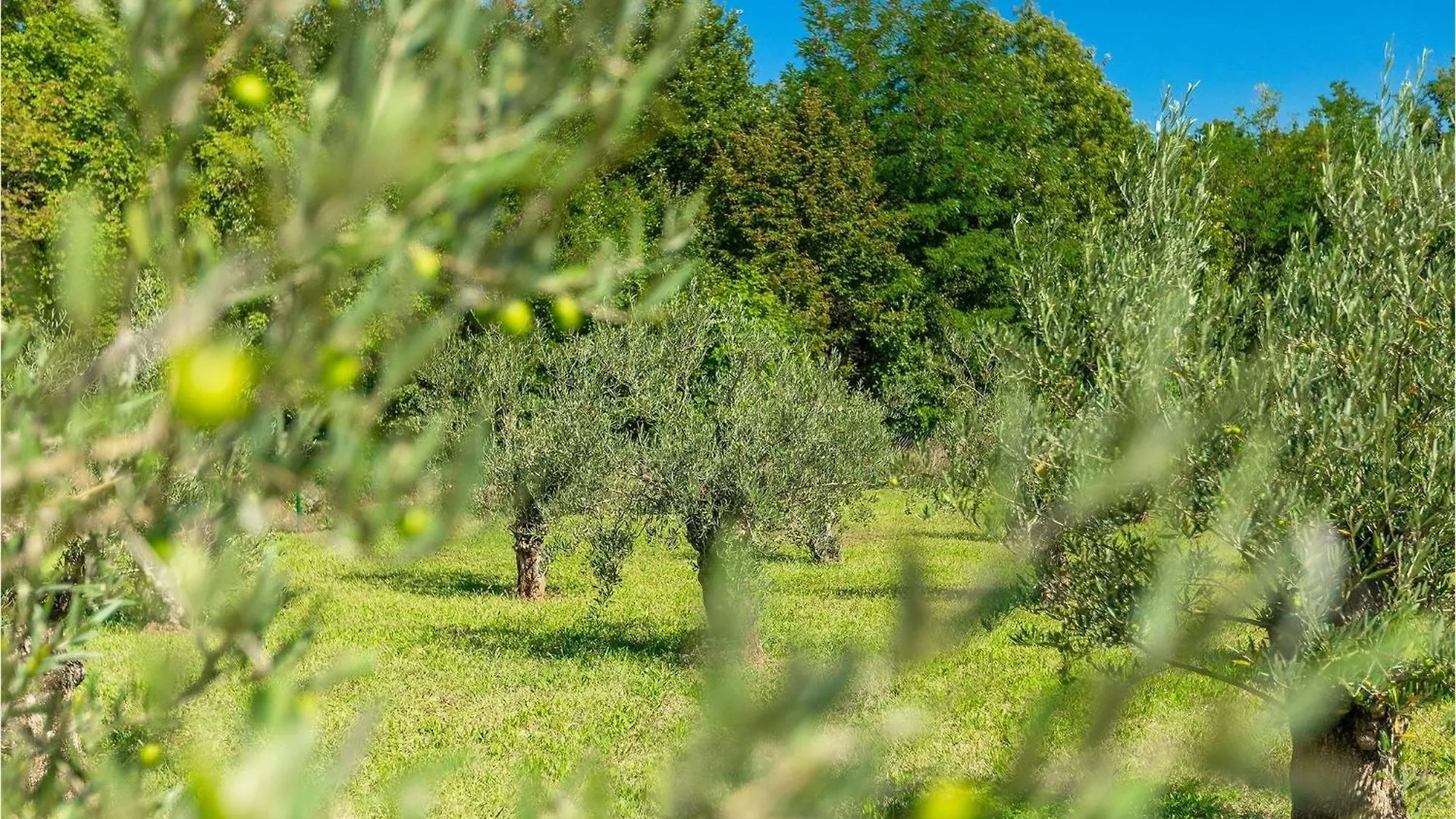 Villa Istria Green Krsan